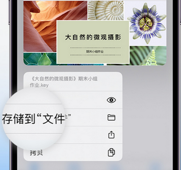 微山apple维修中心分享iPhone文件应用中存储和找到下载文件