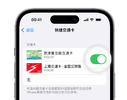 微山apple维修点分享iPhone上更换Apple Pay快捷交通卡手绘卡面 