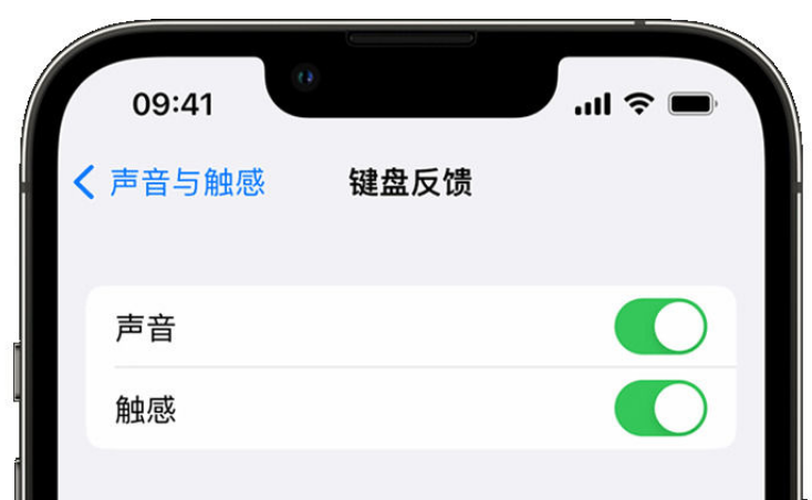 微山苹果手机维修分享iPhone 14触感键盘使用方法 