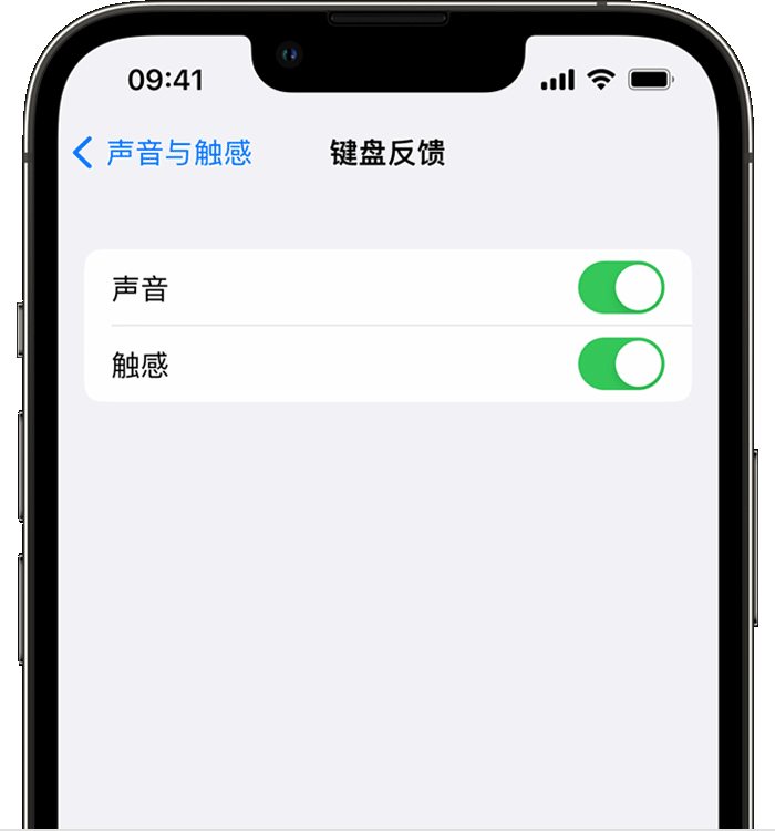 微山苹果14维修店分享如何在 iPhone 14 机型中使用触感键盘 