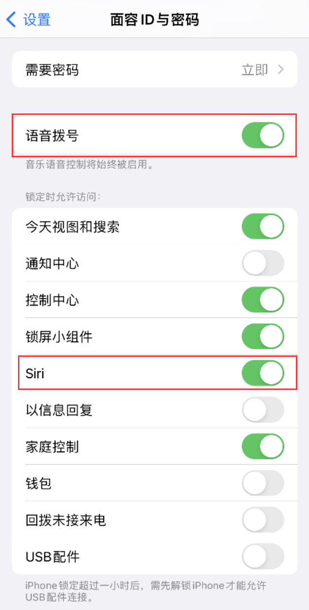 微山苹果维修网点分享不解锁 iPhone 的情况下通过 Siri 拨打电话的方法 