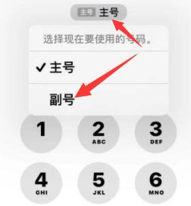 微山苹果14维修店分享iPhone 14 Pro Max使用副卡打电话的方法 