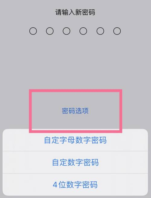 微山苹果14维修分享iPhone 14plus设置密码的方法 