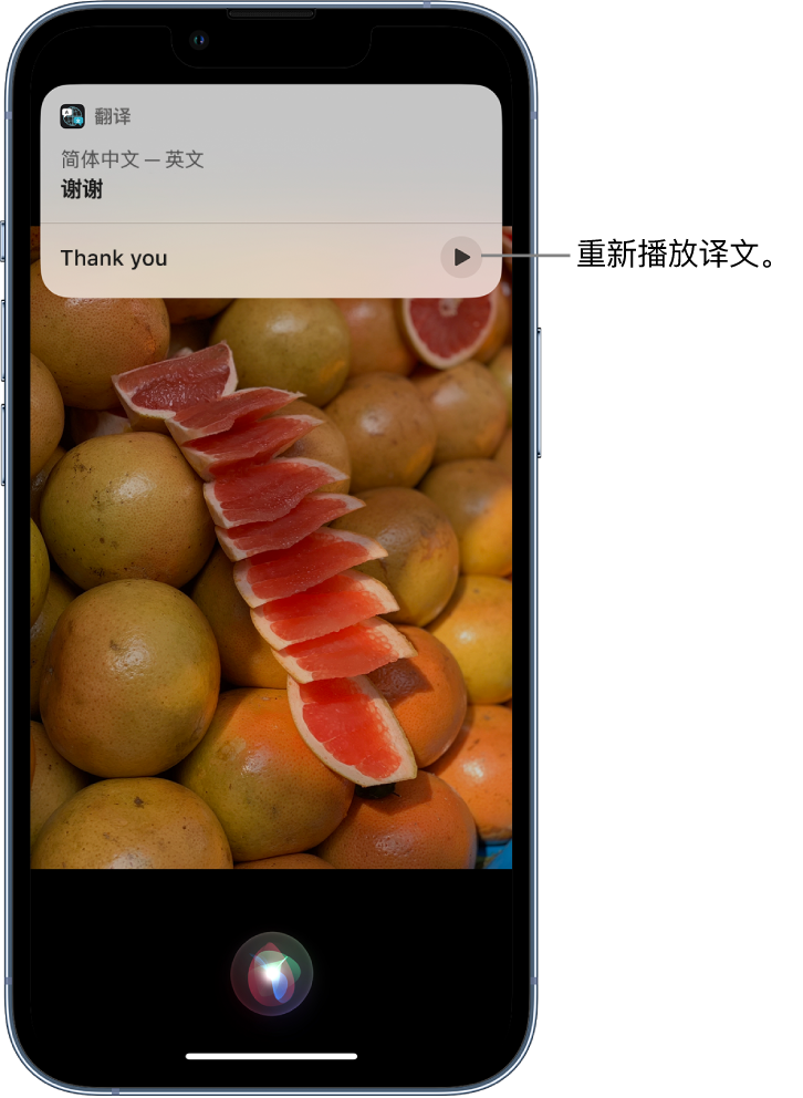 微山苹果14维修分享 iPhone 14 机型中使用 Siri：了解 Siri 能帮你做什么 