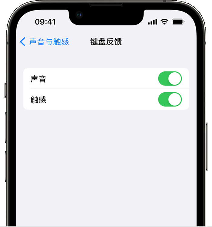 微山苹果14维修分享iPhone 14 系列机型如何开启键盘声音或触感反馈 