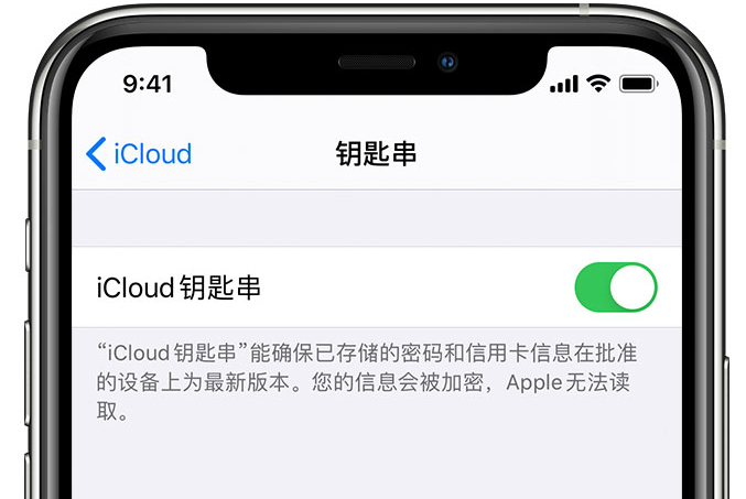 微山苹果手机维修分享在 iPhone 上开启 iCloud 钥匙串之后会储存哪些信息 