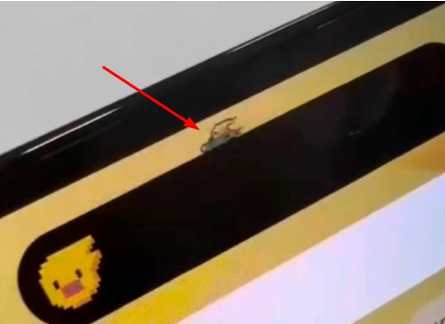 微山苹果14维修分享iPhone 14 Pro Max灵动岛怎么养宠物 