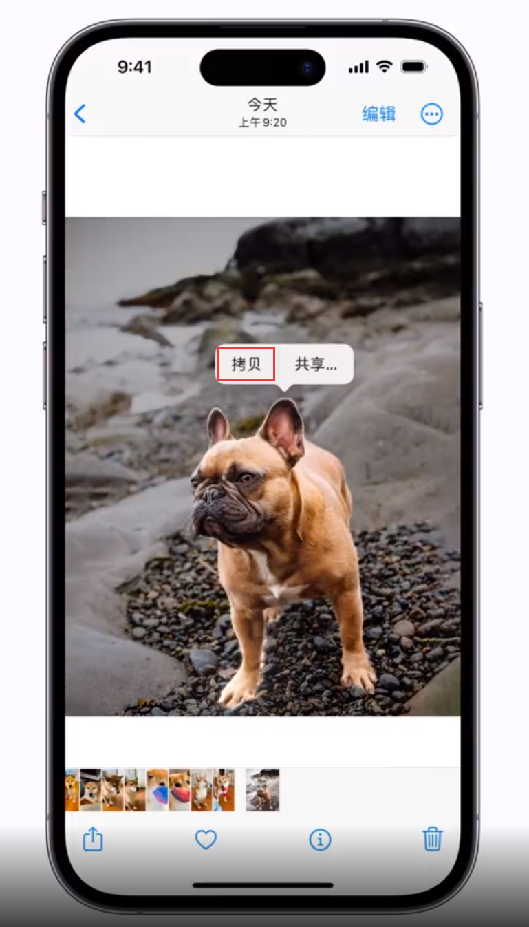 微山苹果手机维修分享 iOS 16 自带一键抠图功能 
