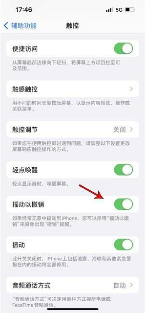 微山苹果手机维修分享iPhone手机如何设置摇一摇删除文字 