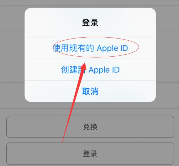 微山苹果手机维修分享两台iPhone设备可以同时登录一个Apple ID吗 