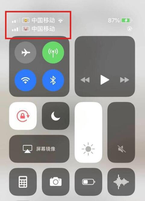 微山苹果手机维修分享为 iPhone 12 双卡设置标签 